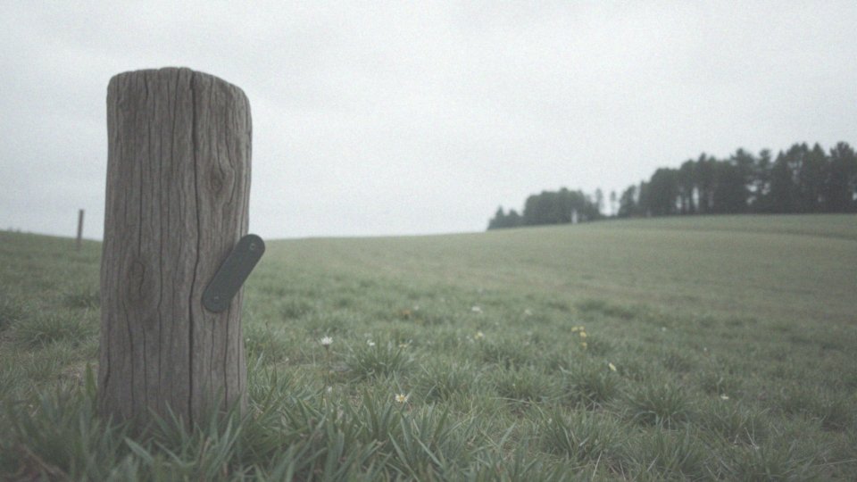 Jakie są koszty związane z wyceną działki?