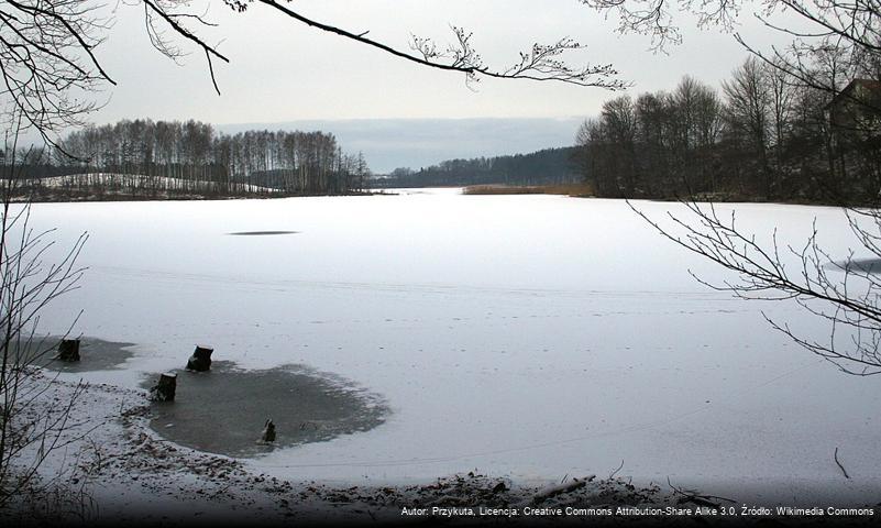 Jeleń (jezioro na Pojezierzu Bytowskim)